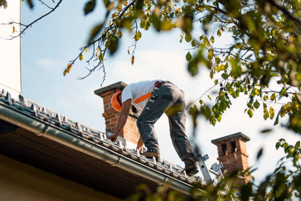 Gutter Installation and Roofing in Bawcomville, LA
