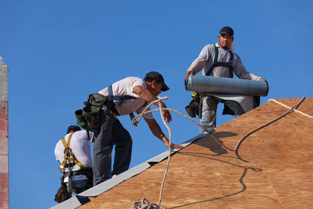Best Roof Maintenance Services  in Bawcomville, LA