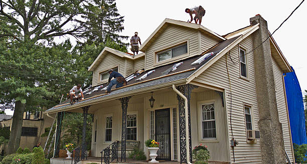 Best Shingle Roofing Installation  in Bawcomville, LA